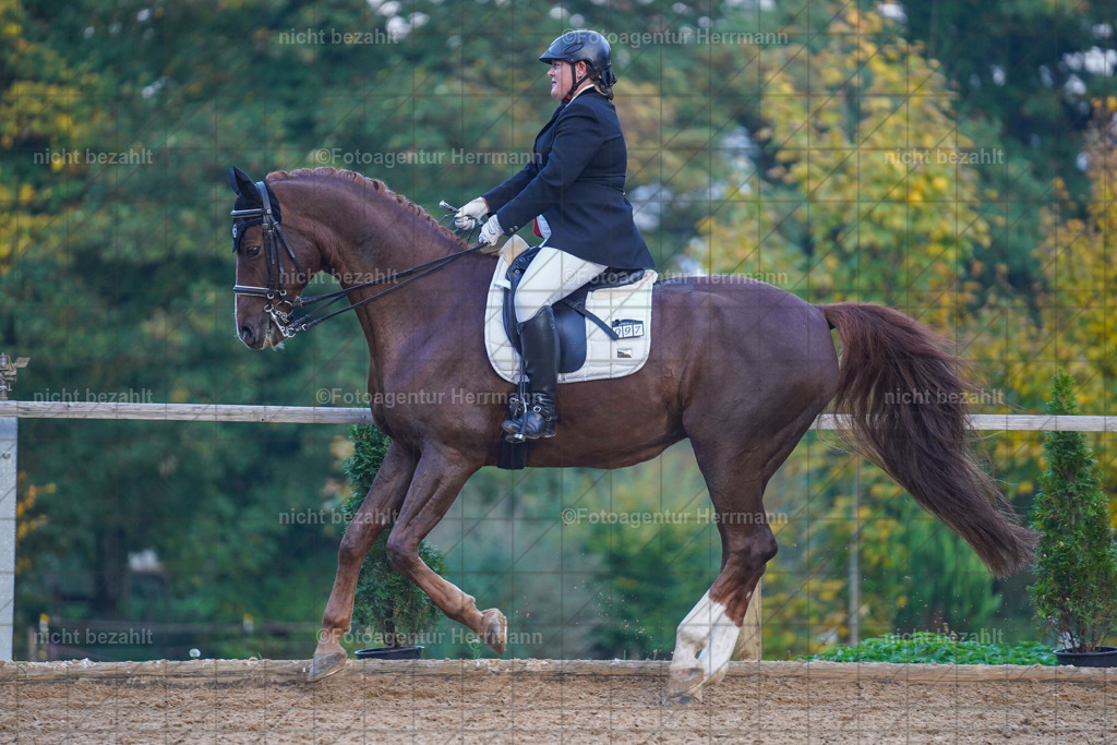 20221007-FAH00649 | Diessen am Ammersee, 2022, Dressur- und Springturnier, Reitsportbilder, Turnierfotografen Bayern, Pferdefotografen, Fotoagentur Herrmann, Turnierbilder