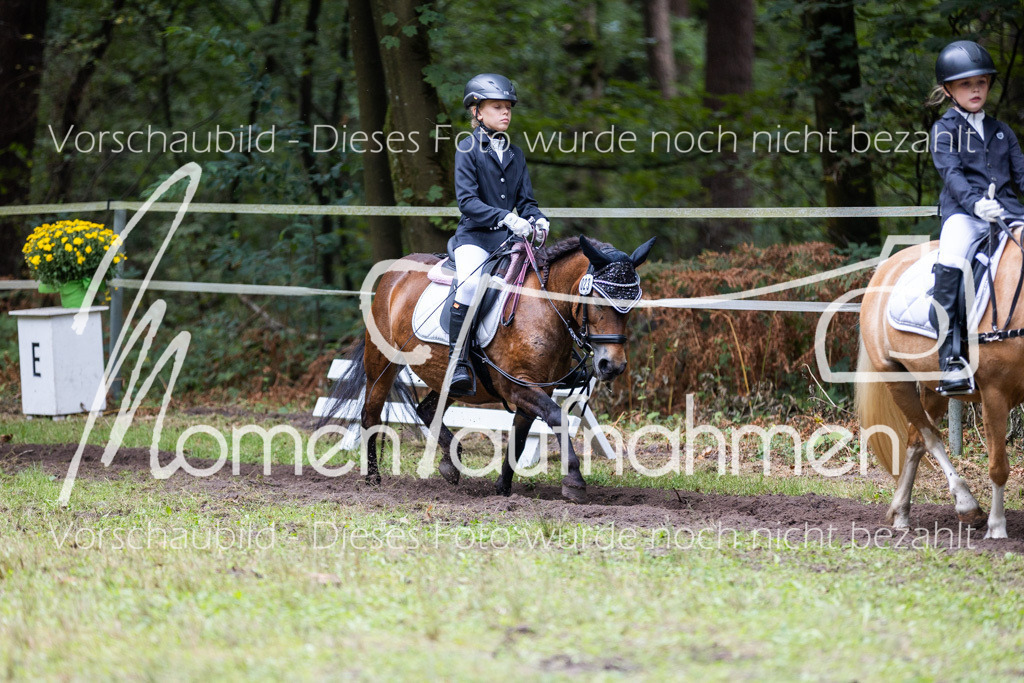 HB-Reiter-WB-057 | MomenTaufnahmen Pferdesportfotos