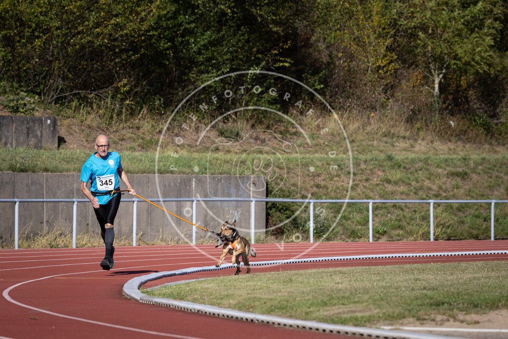 Pfotenfotografie_DV3A8576 | Hundefotografie, Tierfotograf, Pfotenfotografie, Fotoshooting Hund, Hunde Portrait, Hundesport, Hundeportraits, Heideshooting, Hunde, Sportfotograf, Hundefotograf, Turnierhundsport, THS,  - Realisiert mit Pictrs.com