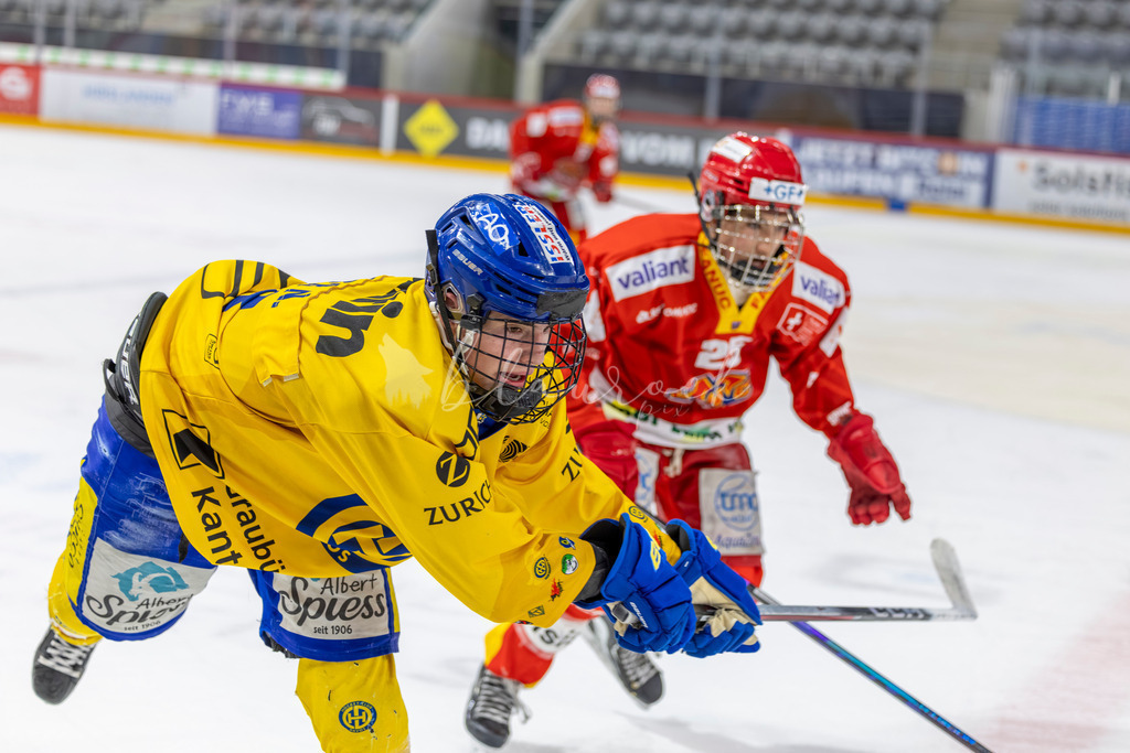 EHCB vs HCD 20262703-405426176 | Sportbilder, Sportfotograf, Hochzeits- und Eventfotografin, Flugshows, Portraits und Tiershooting, Aviation, Downhill, Nationalleague, Swissleague, International
