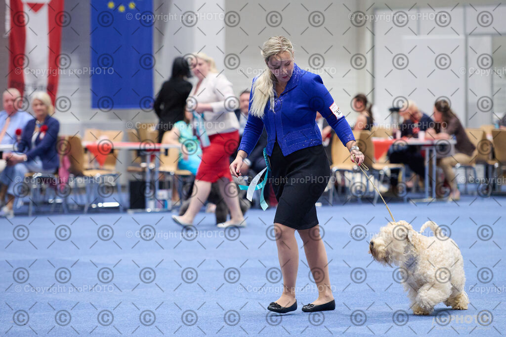 202406_ÖKV-IHA-Tulln24_DSC_2977 | proPHOTO - Realisiert mit Pictrs.com