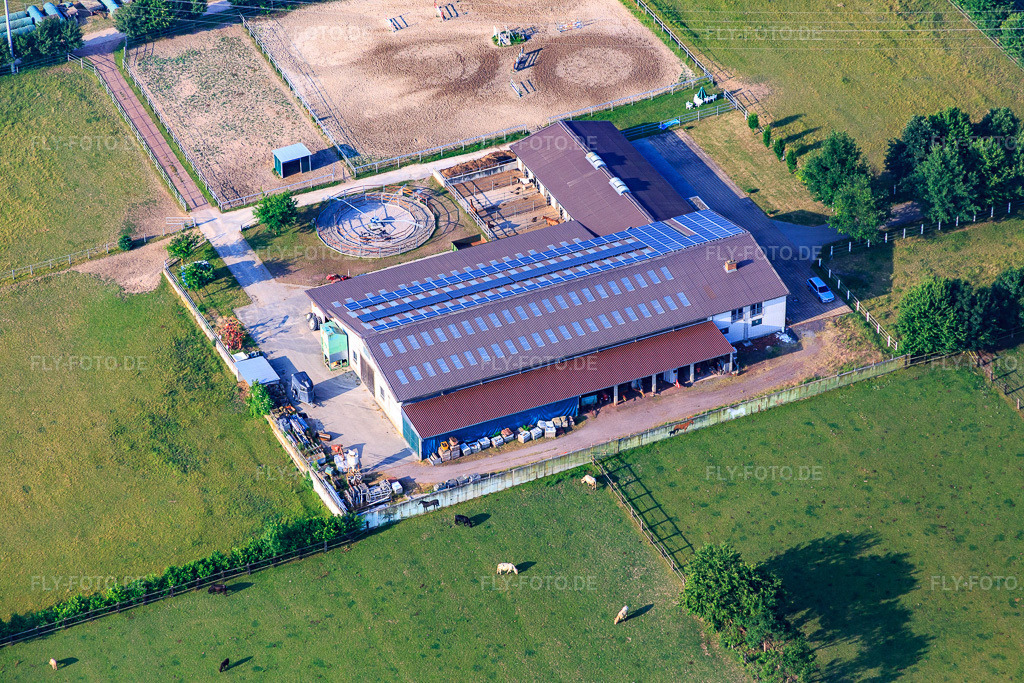 Luftbild: Eichenhof Seither in Ottersheim bei Landau im Bundesland Rheinland-Pfalz in Deutschland. Foto: IMG_080688.jpg vom 12.06.2015 durch Werner Riehm/FLY-FOTO.de