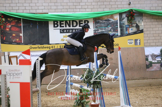 IMG_0637 | Turnierfotos kaufen im Webshop von Daniel Kuhl Photography – entdecke professionelle Reitsportfotos aus Turnieren & Events. Hochwertige Turnierbilder online bestellen & sichern. Jetzt Fotos von Reitsportturnieren kaufen!
