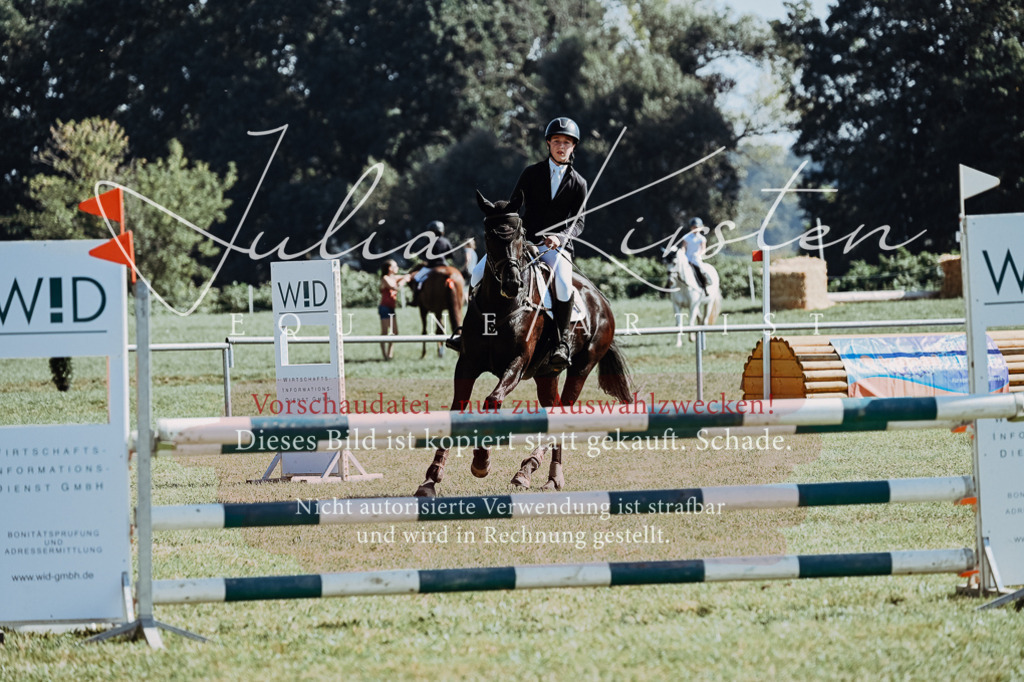 DSC_5724 | Pferde- und Turnierfotografie in Westsachsen. Pferdeportraits, Auftragszeichnungen und intuitive Kunst.