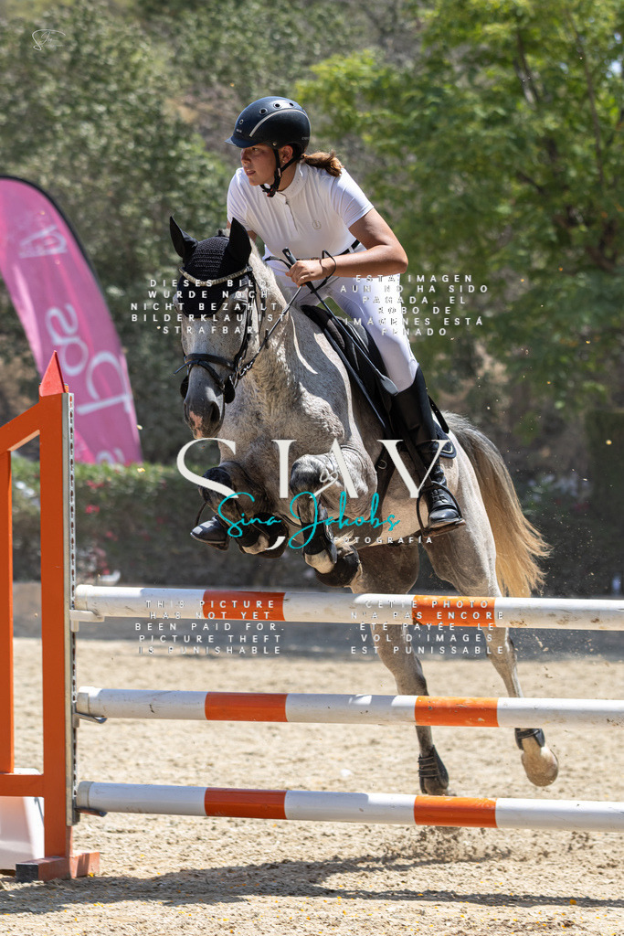 IMG_6465 | s-jay-photography - Realisiert mit Pictrs.com