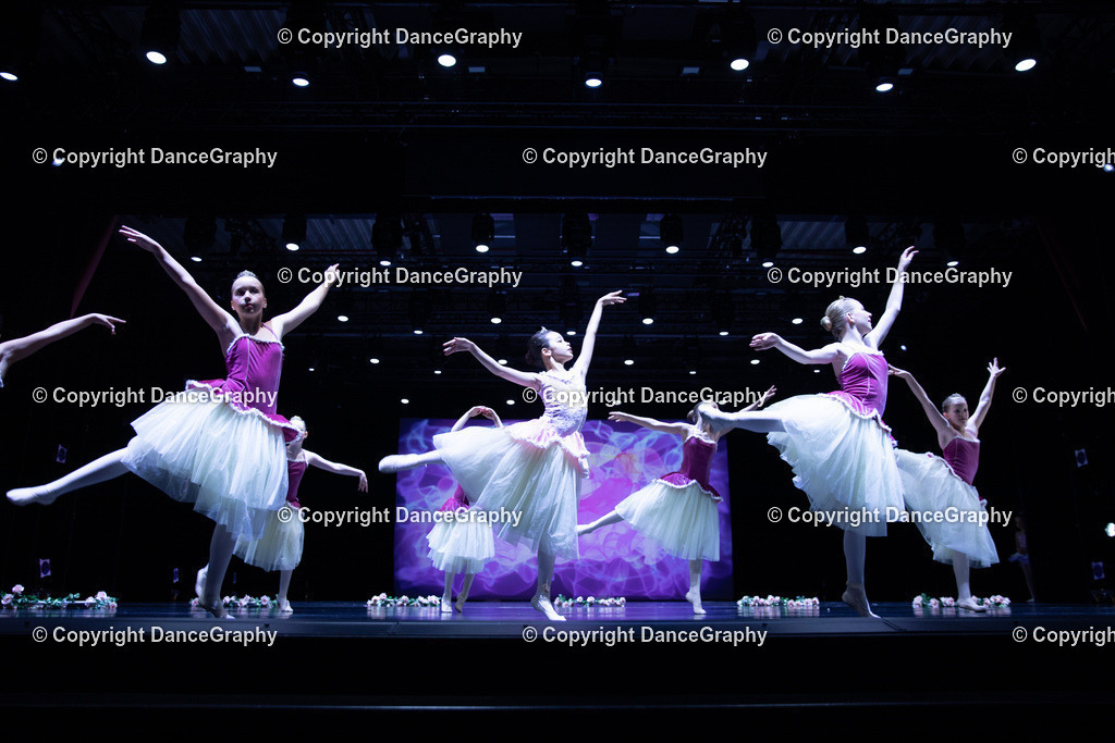 GPHY4819 | DanceGraphy - Realisiert mit Pictrs.com