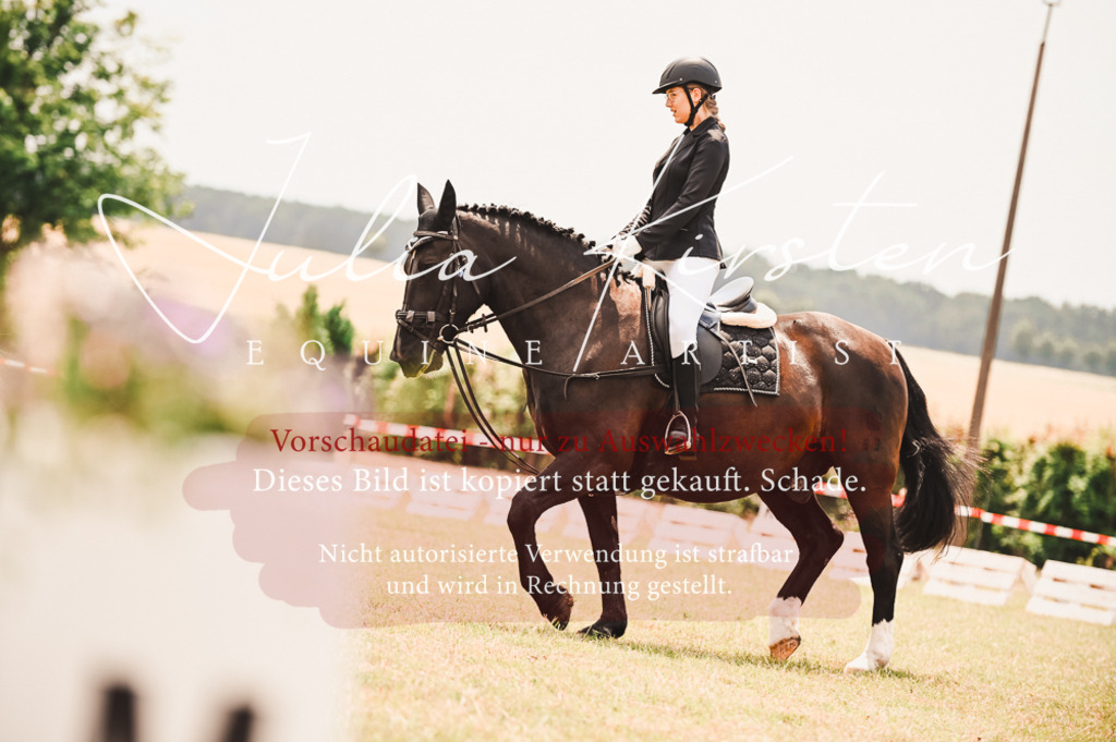 DSC_6203 | Pferde- und Turnierfotografie in Westsachsen. Pferdeportraits, Auftragszeichnungen und intuitive Kunst.