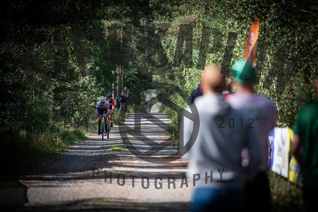 DKP-1101 | Drew Kaplan Photography