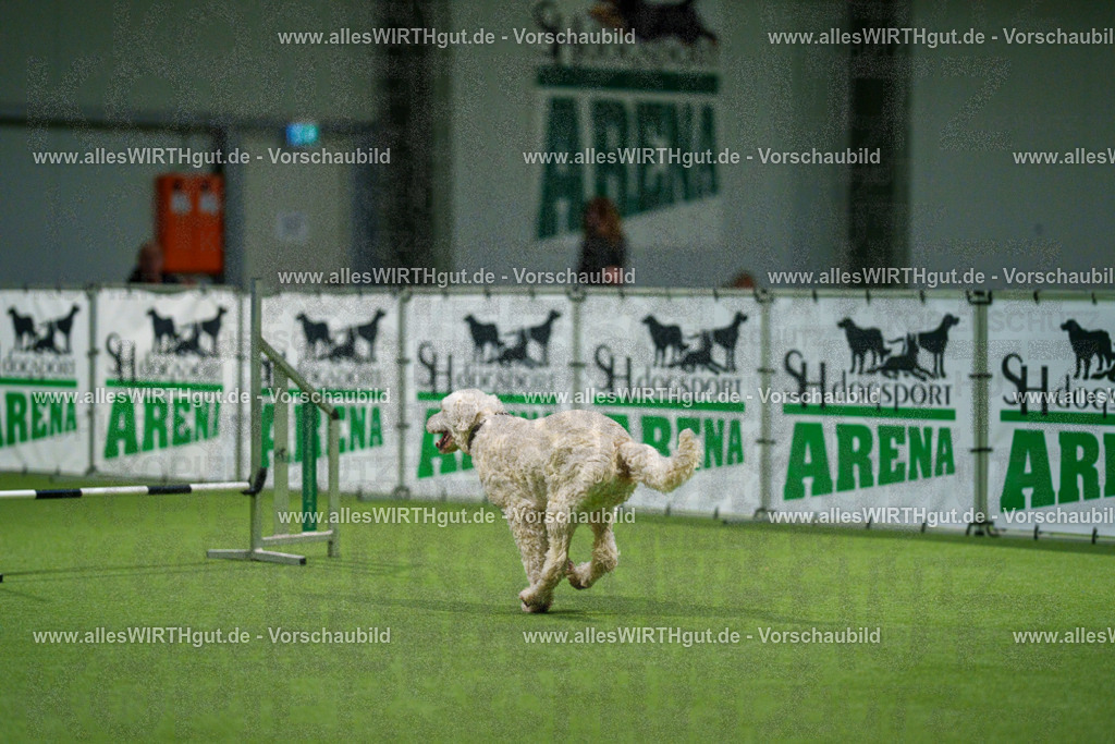 7R504266 | Professionelle Tierfotografie in Mönchengladbach von Daniel Wirth (allesWIRTHgut). Liebevolle & natürliche Bilder von Hunden & Katzen für unvergessliche Erinnerungen.