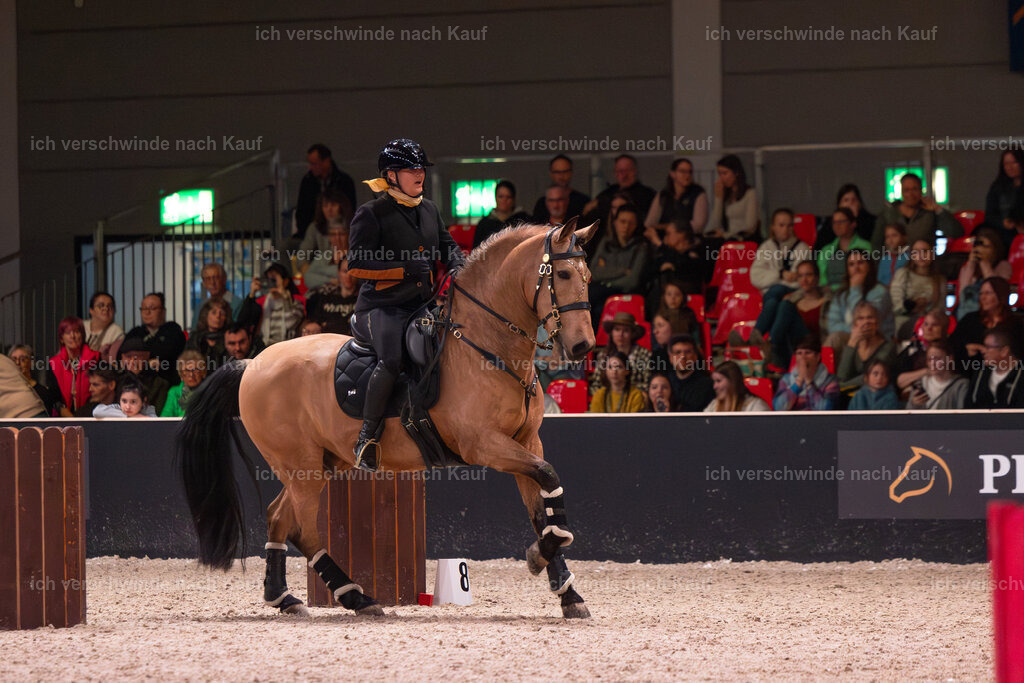 JoseraCup-134 | working equitationturnier fotograf videograf stoibphotography marixx film working equitation deutschland reitsport turnierfotografie eventfotografie equestrian events