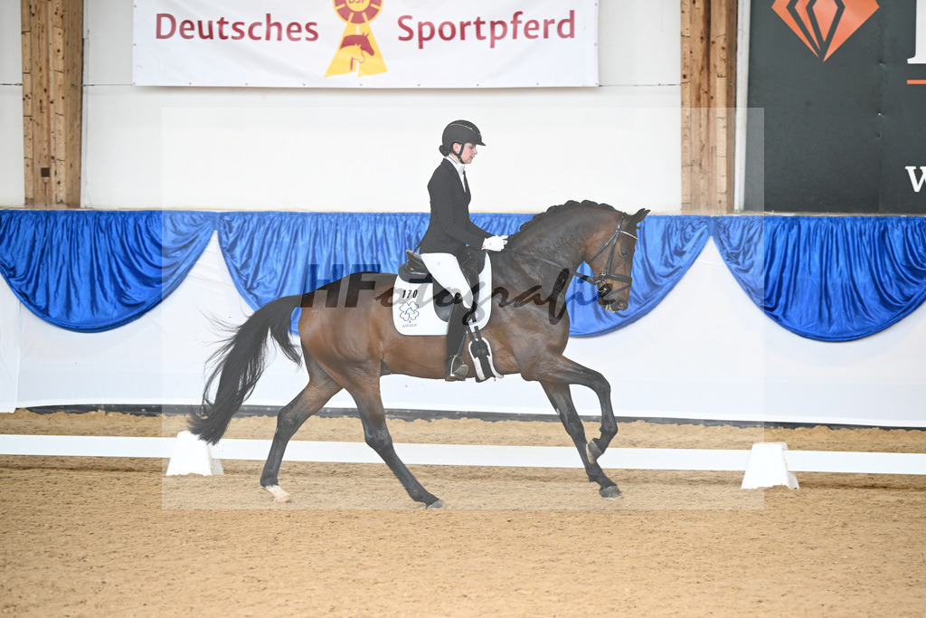 Kat-Nr. 170 Fontainebleau_Oertel_14242308 | hf-fotografie - Realizzato con Pictrs.com
