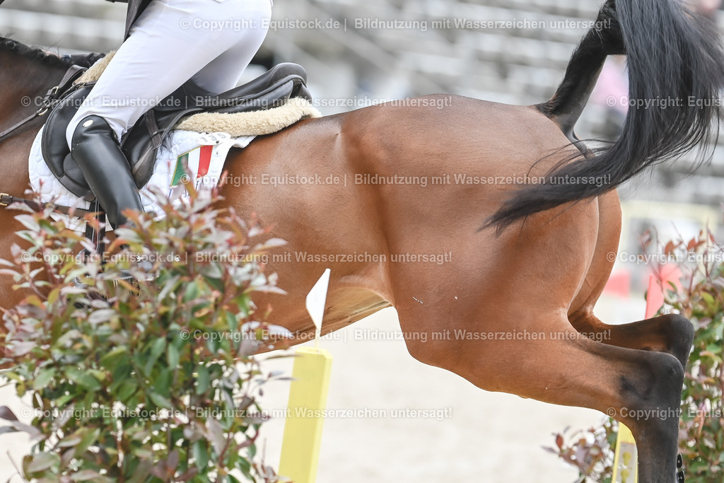 20230514_CCI4_Springen_0087 | equistock