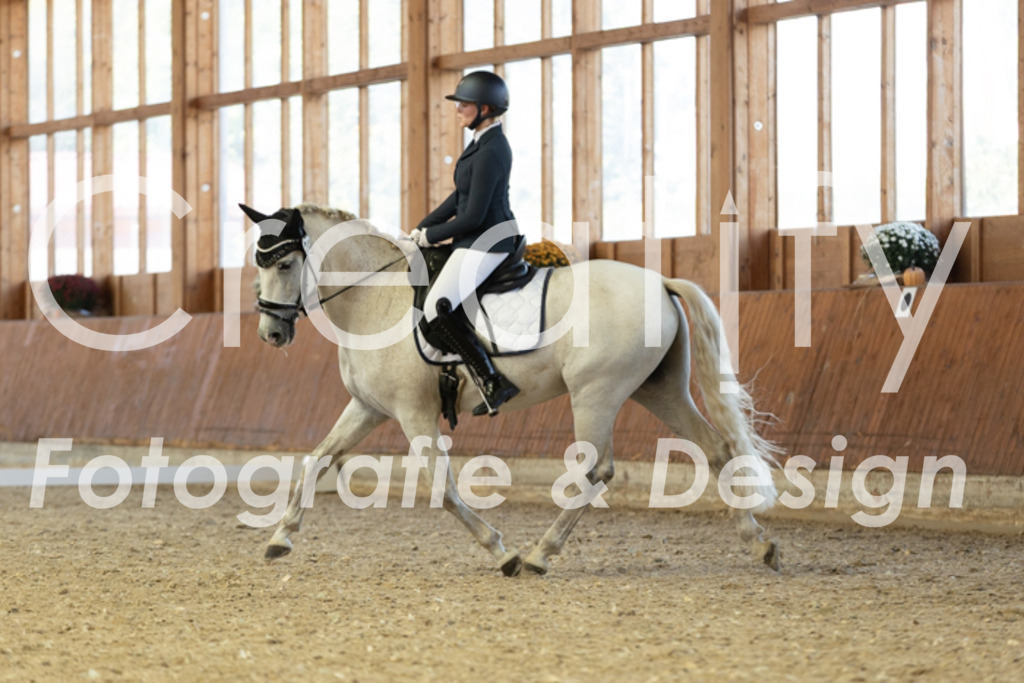 IMG_4960 | Creatify Fotografie