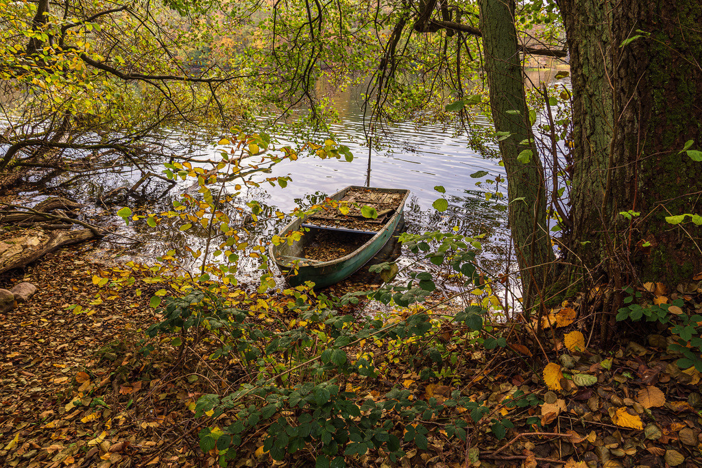 Boot am See Schmaler Luzin in der Feldberger Seenlandschaft | Boot am See Schmaler Luzin in der Feldberger Seenlandschaft.