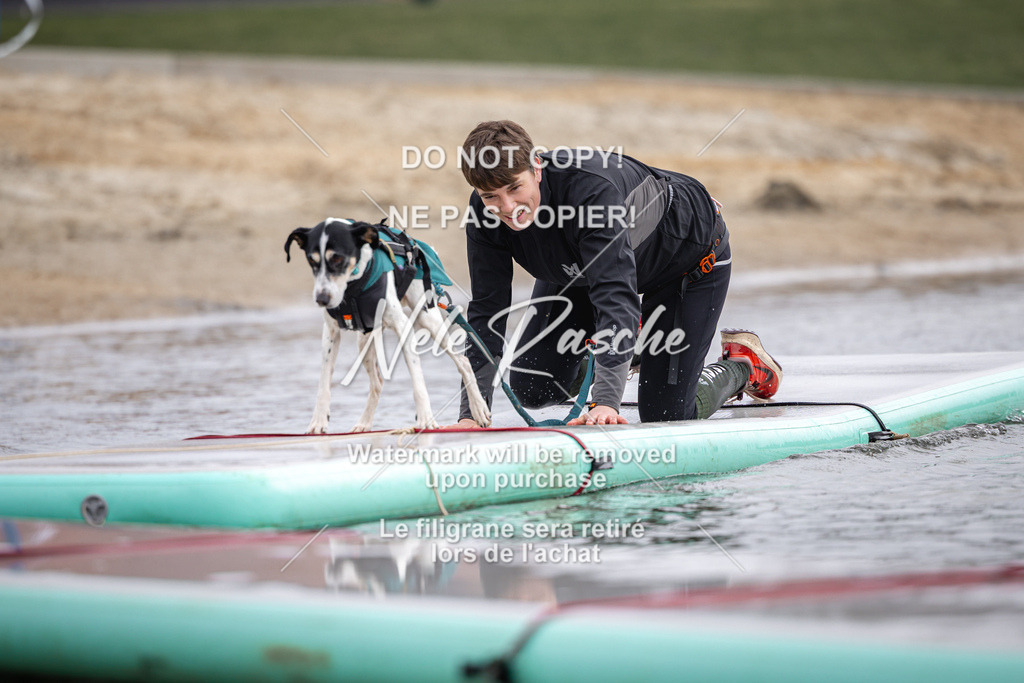 nelerasche_Hulsbeek_Sa1130-1230_659 | nelerasche