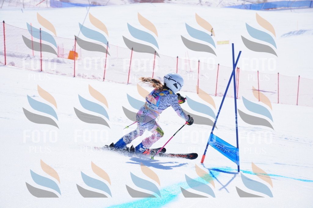 DSC_4075 | holidayphoto