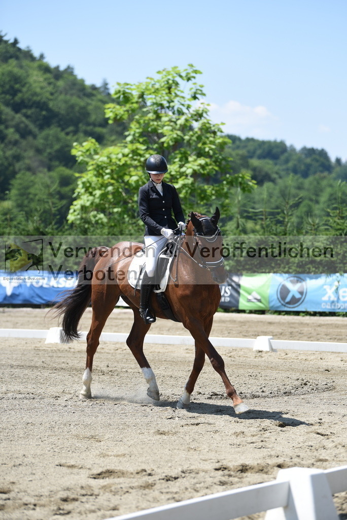 DSC_0894 | equestrian-live-com