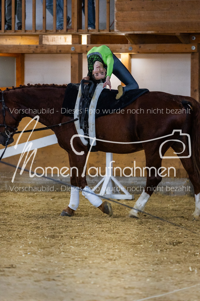 Einzel-096 | MomenTaufnahmen Pferdesportfotos