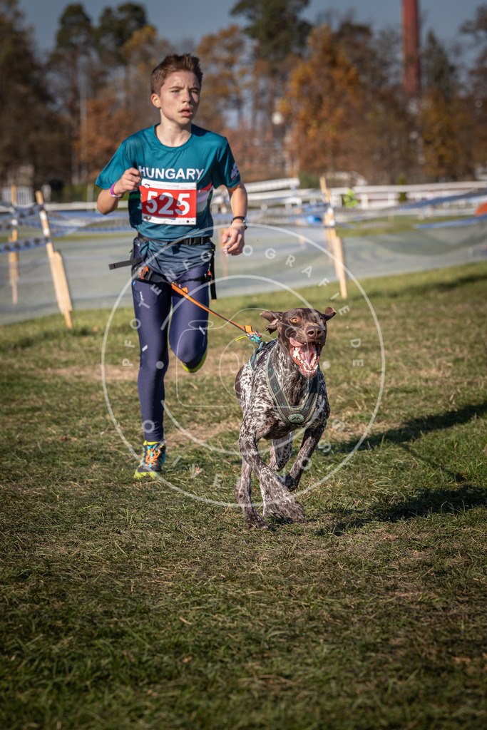 CaniXpix_0L8A7271 | Hundefotografie, Tierfotograf, Pfotenfotografie, Fotoshooting Hund, Hunde Portrait, Hundesport, Hundeportraits, Heideshooting, Hunde, Sportfotograf, Hundefotograf, Turnierhundsport, THS,  - Realisiert mit Pictrs.com