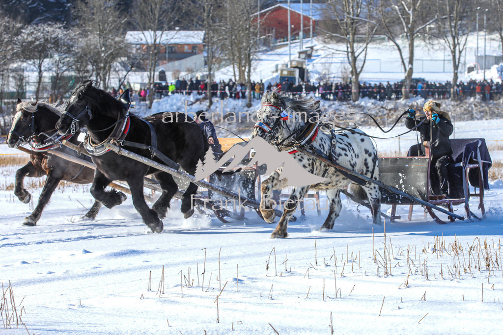 OE7A9839 | Medien- Sport- Entertainmentfotos