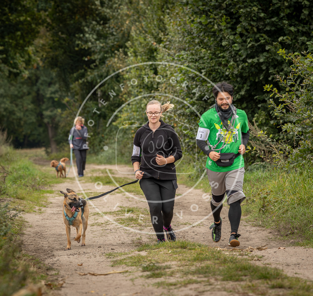 Pfotenfotografie_DV3A8560 | Hundefotografie, Tierfotograf, Pfotenfotografie, Fotoshooting Hund, Hunde Portrait, Hundesport, Hundeportraits, Heideshooting, Hunde, Sportfotograf, Hundefotograf, Turnierhundsport, THS,  - Realisiert mit Pictrs.com