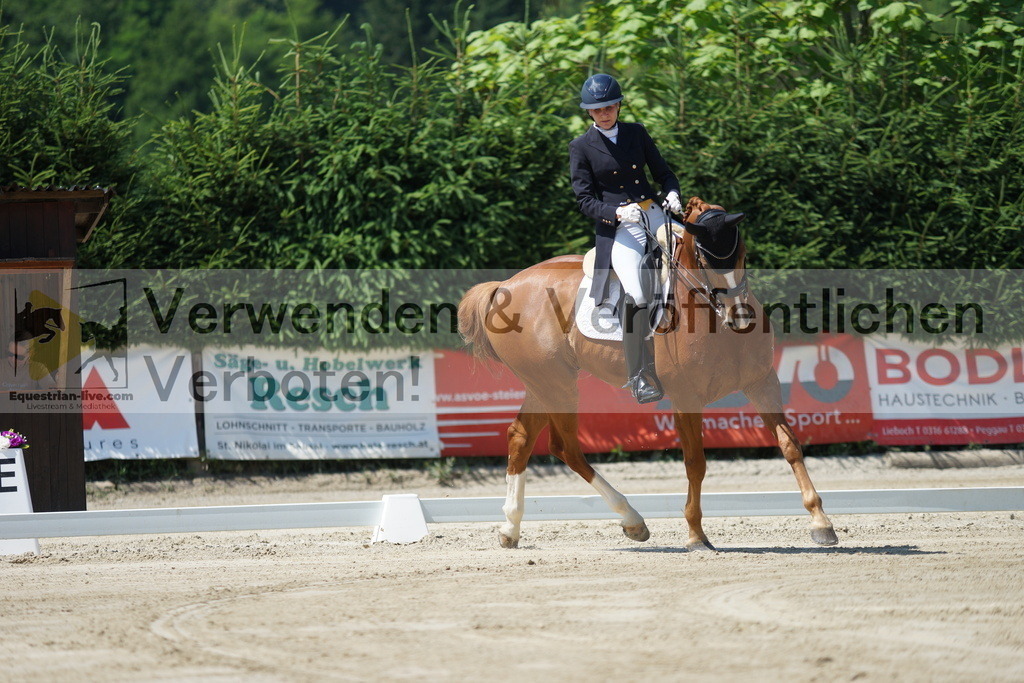 DSC02196 | equestrian-live-com