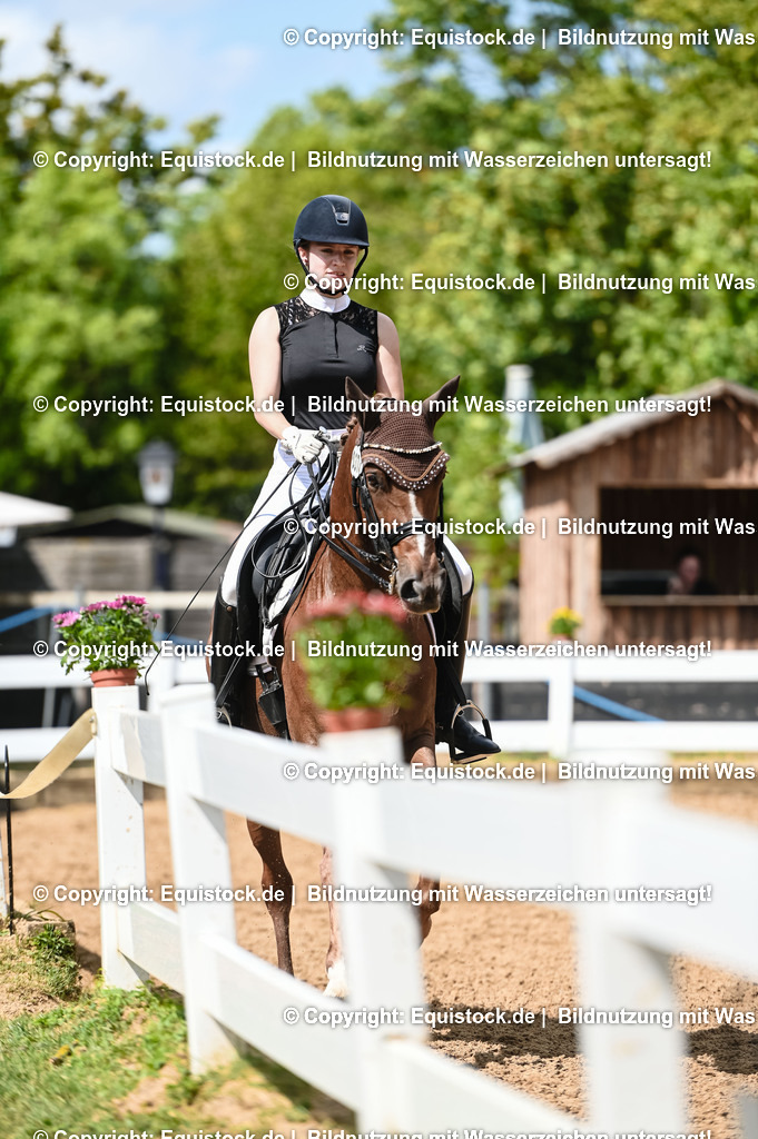 20230716_01_Dressurprüfung Kl.M_0330 | equistock