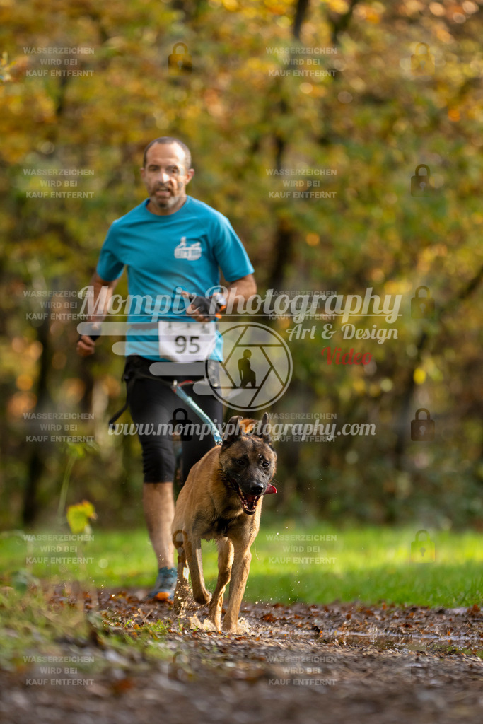 MompixPhotography_Bischwiller23_Canicross-36 | PayLife