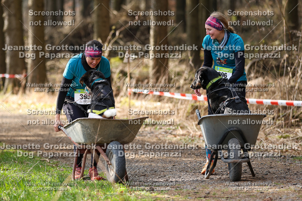 Dog Paparazzi - VCC26-622 | Dog Paparazzi Jeanette Grottendiek Fotografie & Videografie - Realisiert mit Pictrs.com