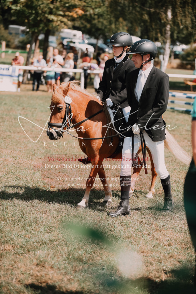 DSC_6037 | Pferde- und Turnierfotografie in Westsachsen. Pferdeportraits, Auftragszeichnungen und intuitive Kunst.
