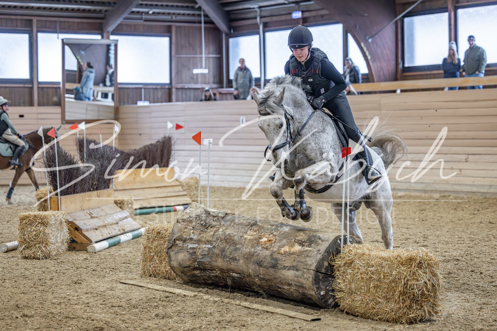 20260221-_3LI9637 | Tierfotografie Pferde, Hunde, Katzen, Haustiere.
Turnierfotografie Reitturniere, Reiten, Springreiten, Dressur in Hanau, dem Main-Kinzig-Kreis und dem Rhein-Main- Gebiet um Frankfurt