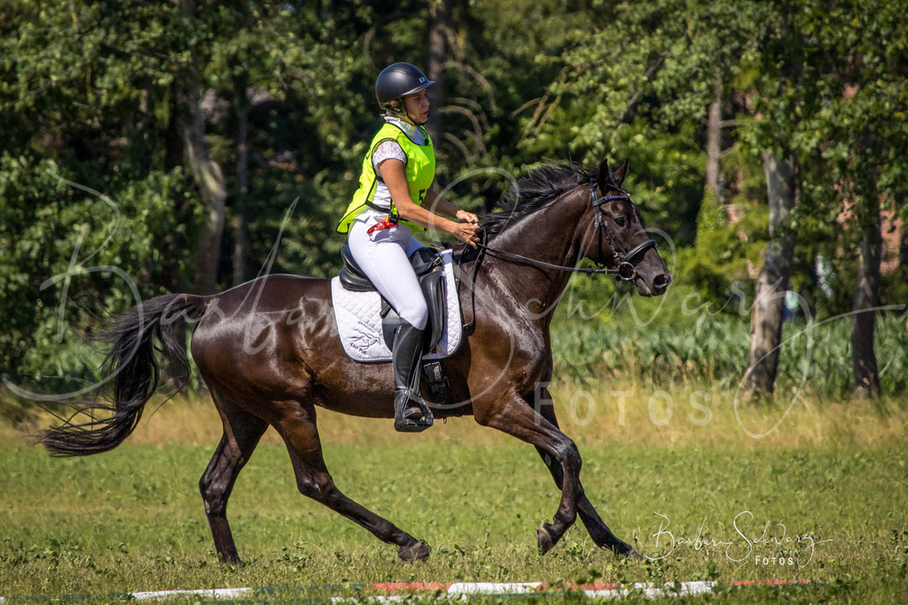 CJP_2026-06-26_182 | Stimmungsvolle Fotografie von Pferden, fotografische Begleitung von Veranstaltungen, Golfturnieren und Distanzritten - Realisiert mit Pictrs.com