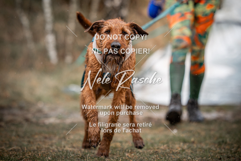 nelerasche_0930-1000_14 | nelerasche