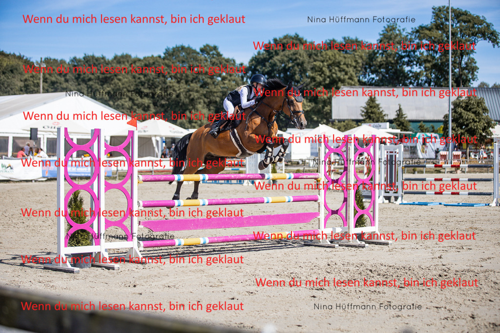 BK1A6977 | Turnierbilder Turnierfotos Nina Hüffmann Turnierfotografie Pferdefotografie Tierzeichnung Haustierzeichnung Pferdezeichnung Hundezeichnung Videograf  - Realisiert mit Pictrs.com