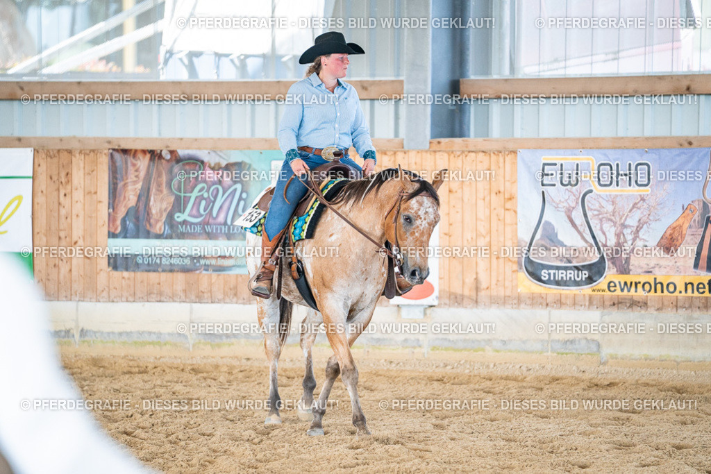 DSC03653 | Pferdegrafie