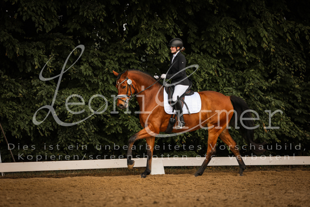 DoDrA200091 | Leoni Ertmer Photography - Realisiert mit Pictrs.com