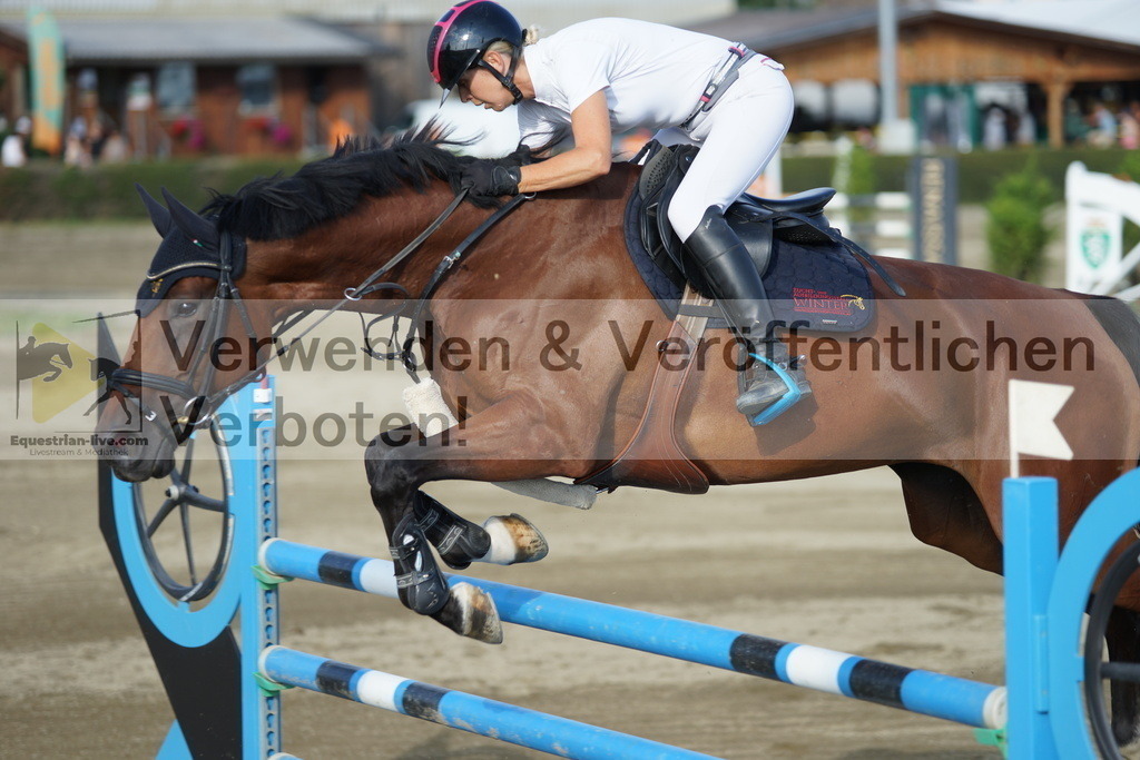 DSC00627 | equestrian-live-com
