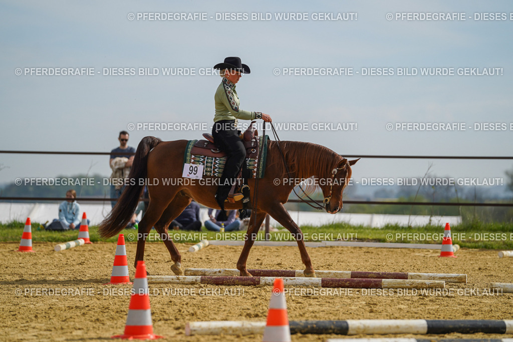 DSC01848 | Pferdegrafie