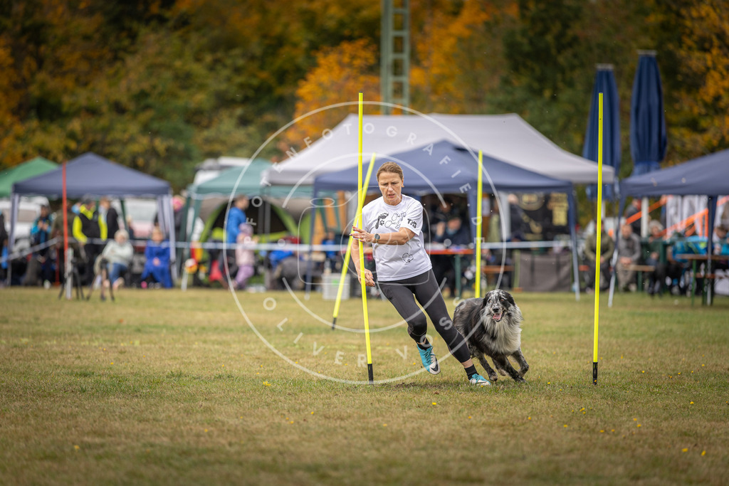 Pfotenfotografie_DV3A5987 | Hundefotografie, Tierfotograf, Pfotenfotografie, Fotoshooting Hund, Hunde Portrait, Hundesport, Hundeportraits, Heideshooting, Hunde, Sportfotograf, Hundefotograf, Turnierhundsport, THS,  - Realisiert mit Pictrs.com