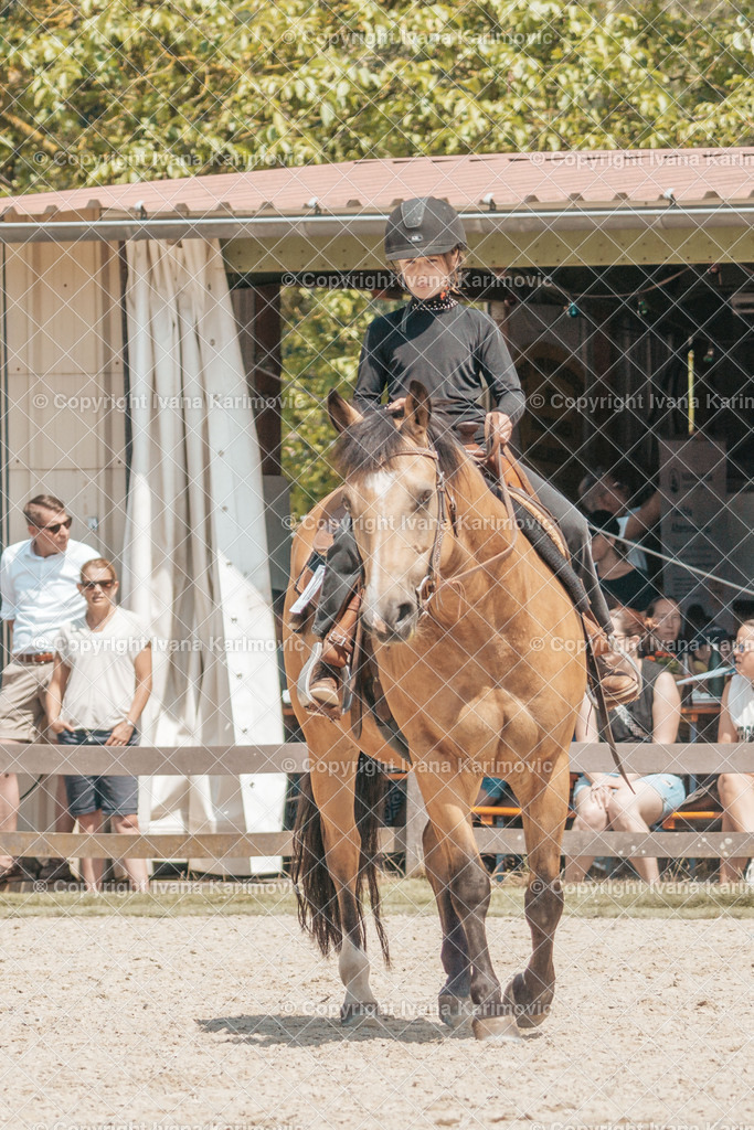 DSC02105 | ikphotography - Realisiert mit Pictrs.com