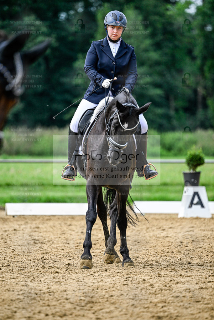 Reitturnier Hasbergen | Entdecke hochwertige Reitturnierfotos von Foto Oger. Professionell, emotional und authentisch – jetzt Lieblingsmomente im Shop bestellen. - Realisiert mit Pictrs.com
