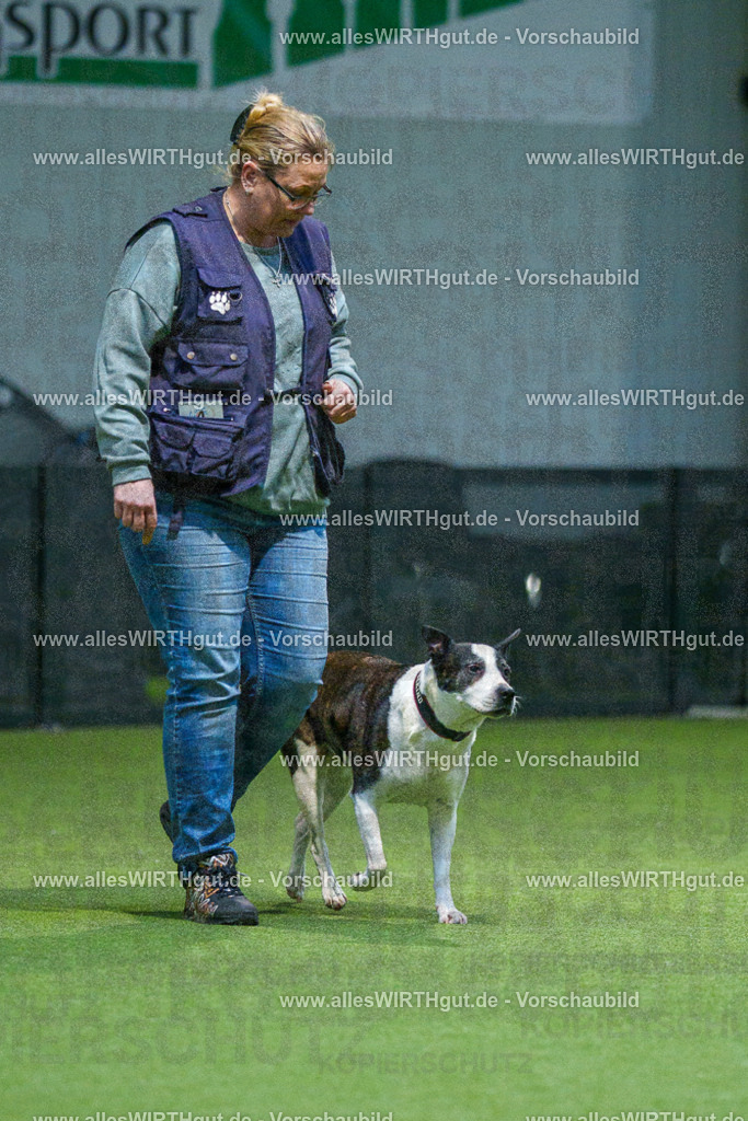 7R509802 | Professionelle Tierfotografie in Mönchengladbach von Daniel Wirth (allesWIRTHgut). Liebevolle & natürliche Bilder von Hunden & Katzen für unvergessliche Erinnerungen.