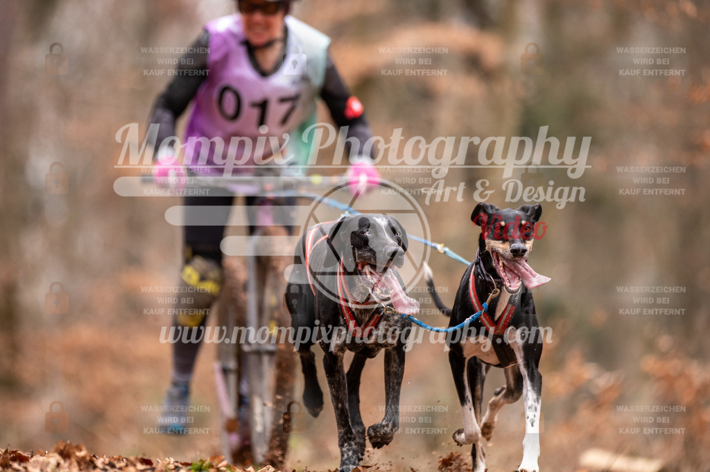 AKM_ST_2023_SAM_DS2-24 | PayLife