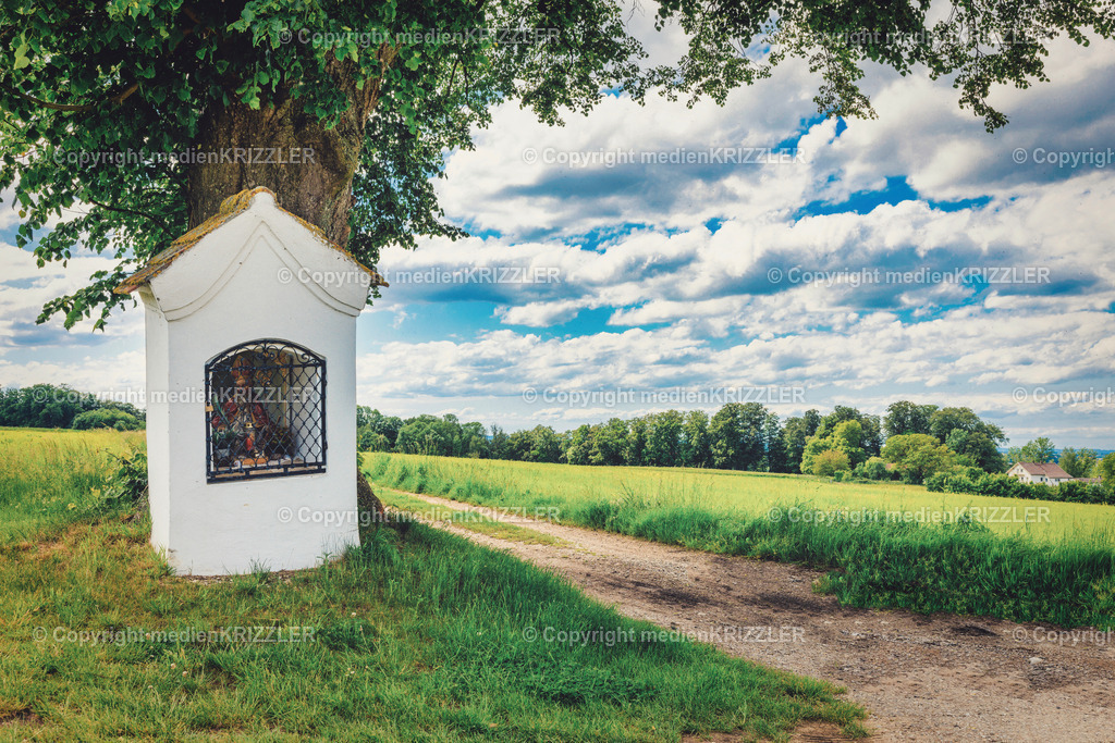 _J3A7899 | medienkrizzler - Realisiert mit Pictrs.com