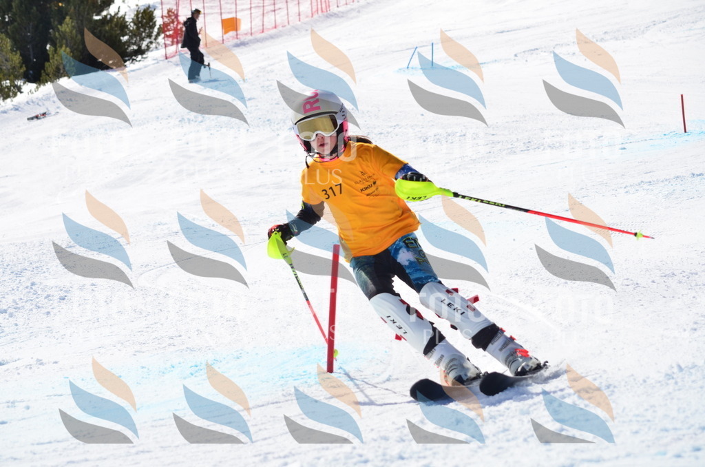 C9564 | holidayphoto