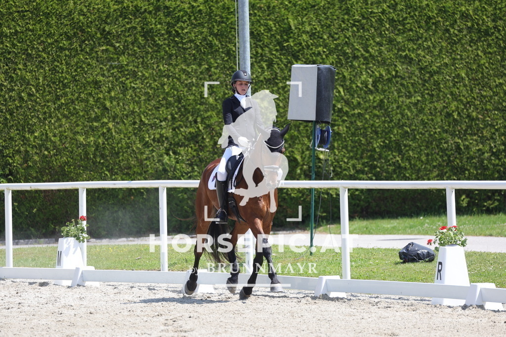0P6A5849 | Willkommen bei Brunnmayr - Design & Fotografie – Ihrem Spezialisten für Reitturniere und Pferdeveranstaltungen in Oberösterreich, Salzburg und Bayern! Seit über 17 Jahren sind wir leidenschaftlich dabei.