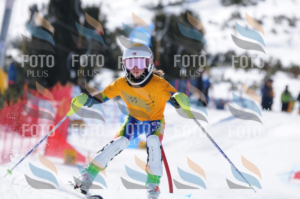 C8876 | holidayphoto