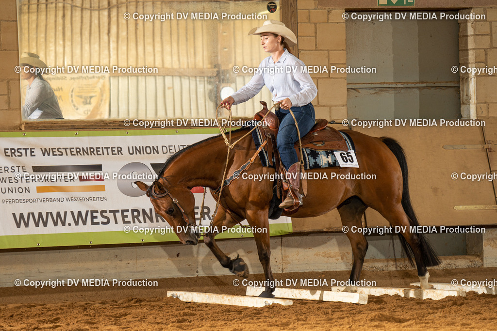 NID01703 | dv-media-shop - Realisiert mit Pictrs.com