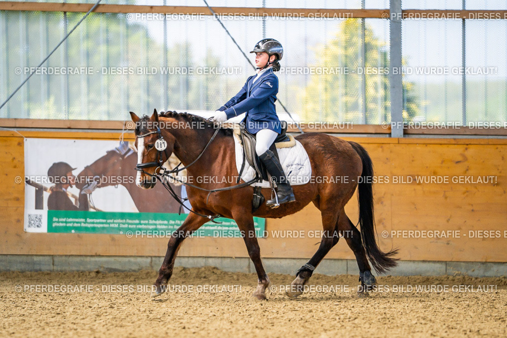 DSC02531 | Pferdegrafie