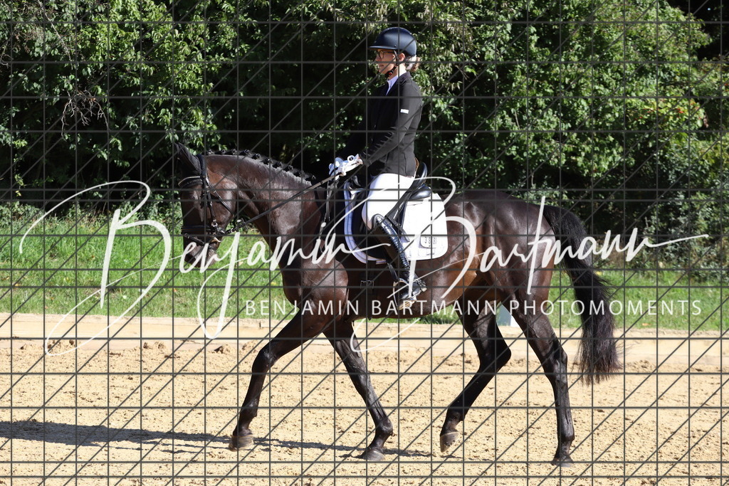 IMG_5095 | Benjamin Bartmann Photomoments